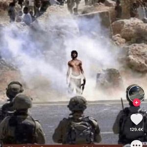 Meet your Posher, Kasey the killa